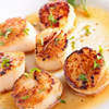 US U10 Giant Scallops 500g