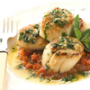 US U10 Giant Scallops 500g