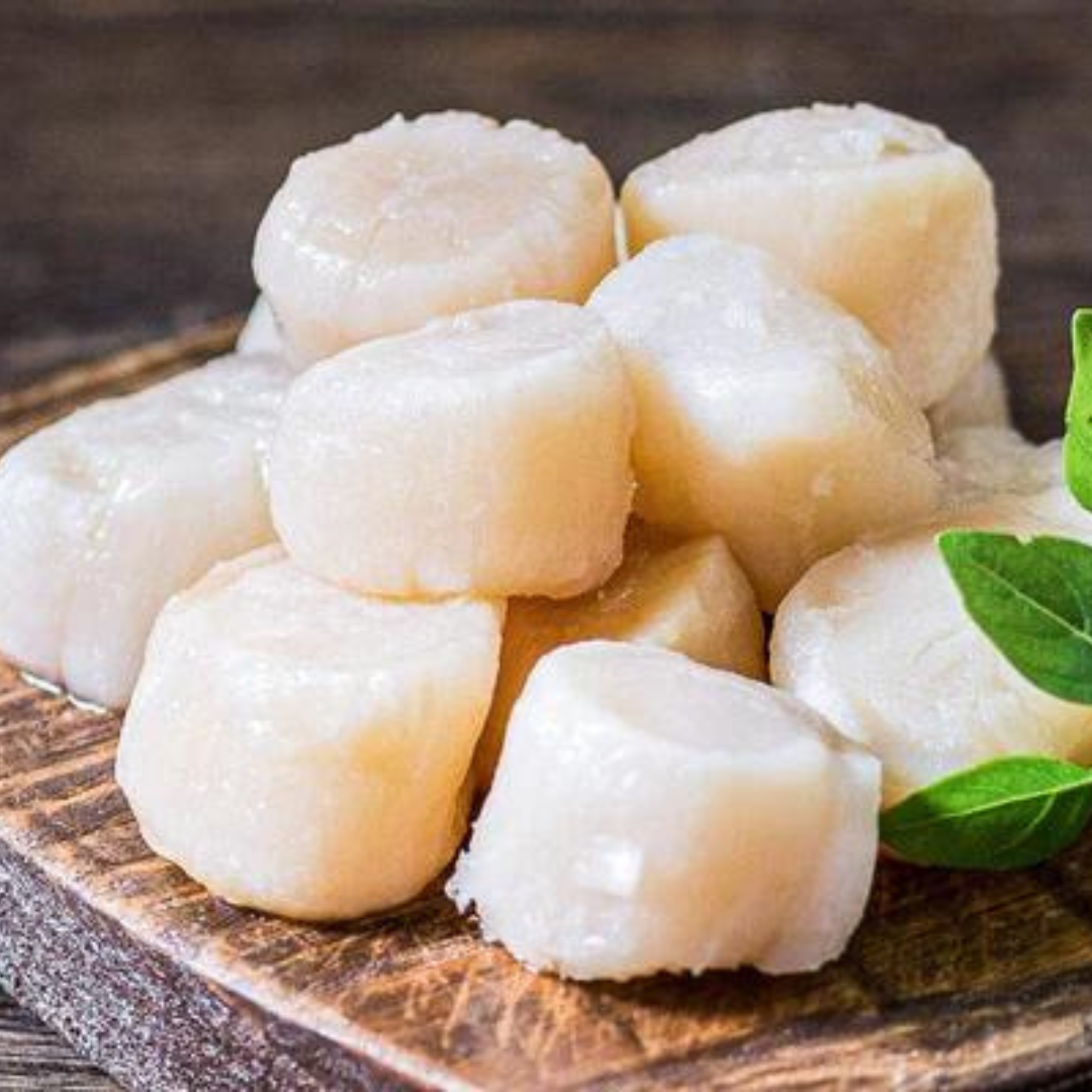 US U10 Giant Scallops 500g